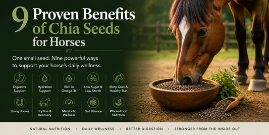 9 Proven Benefits of Chia Seeds for Horses