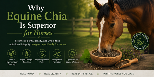Why Equine Chia Is Superior for Horses