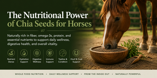 The Nutritional Power of Chia Seeds for Horses