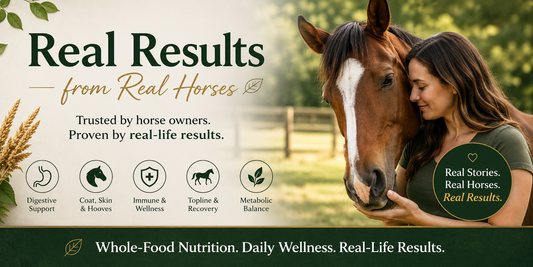 Real Results from Real Horses