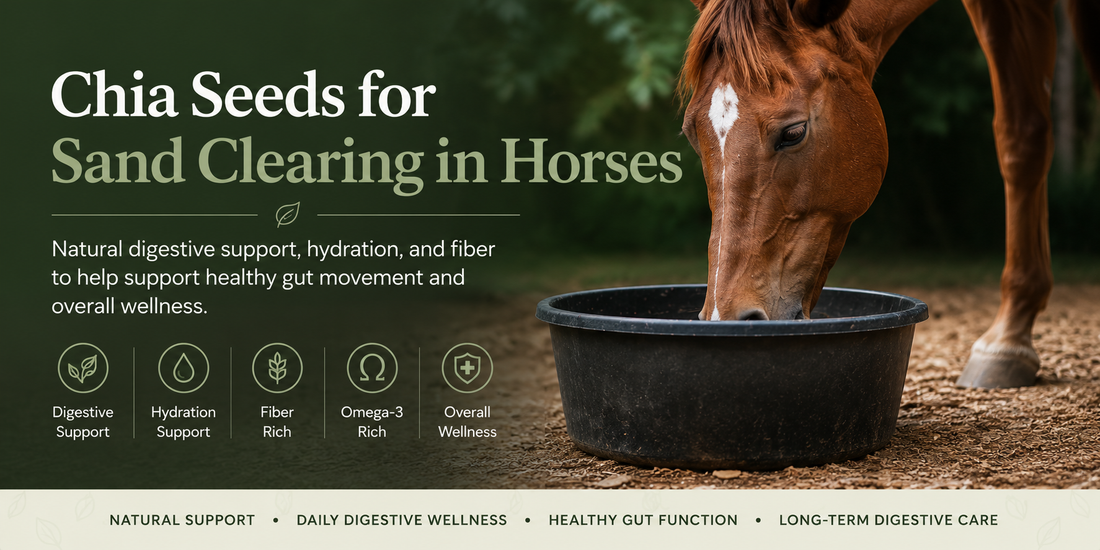 Chia Seeds for Sand Clearing in Horses