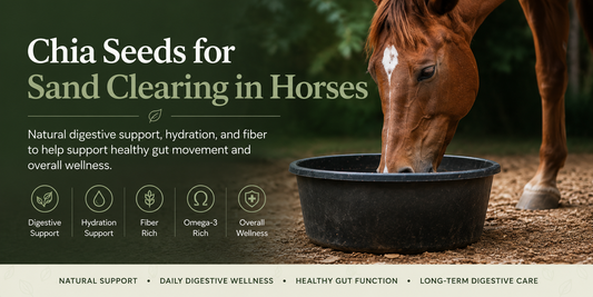 Chia Seeds for Sand Clearing in Horses