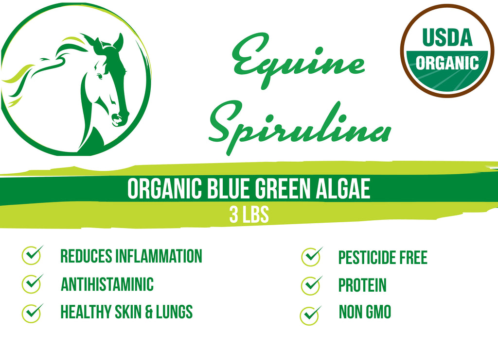Equine Spirulina-Organic, Non GMO & Pesticide Free